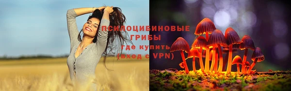 скорость Баксан
